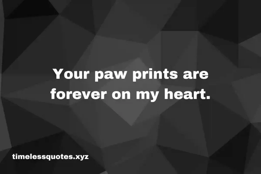 pet loss quotes