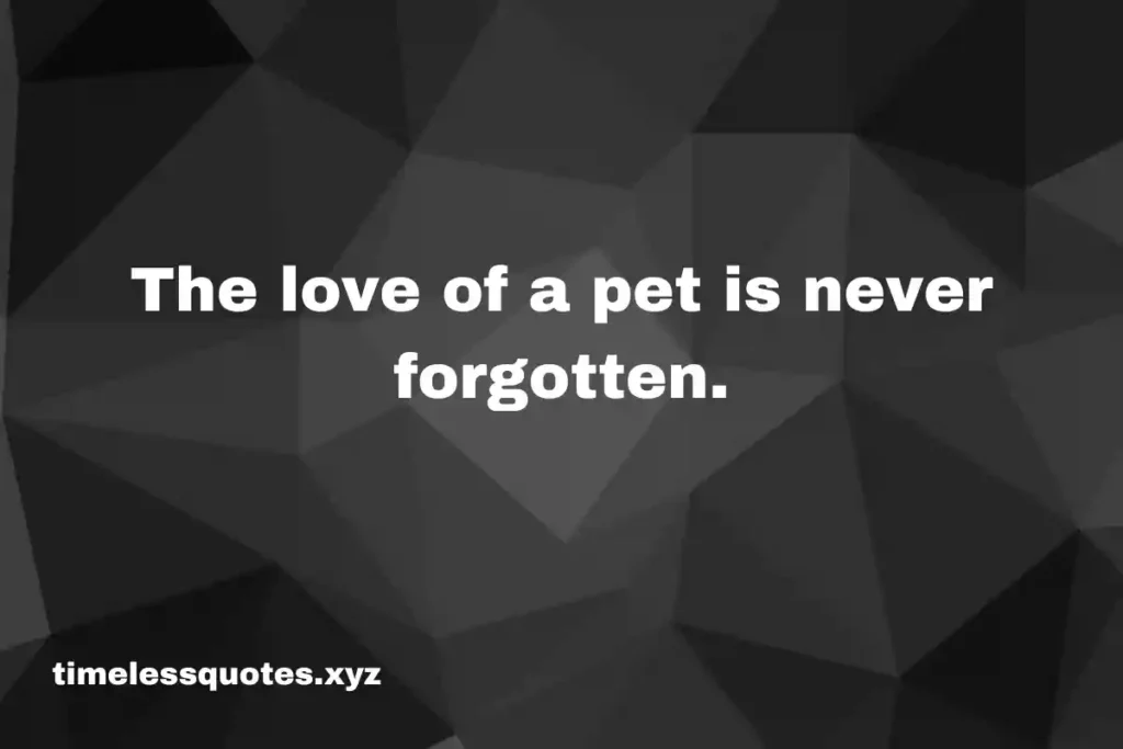 pet loss quotes