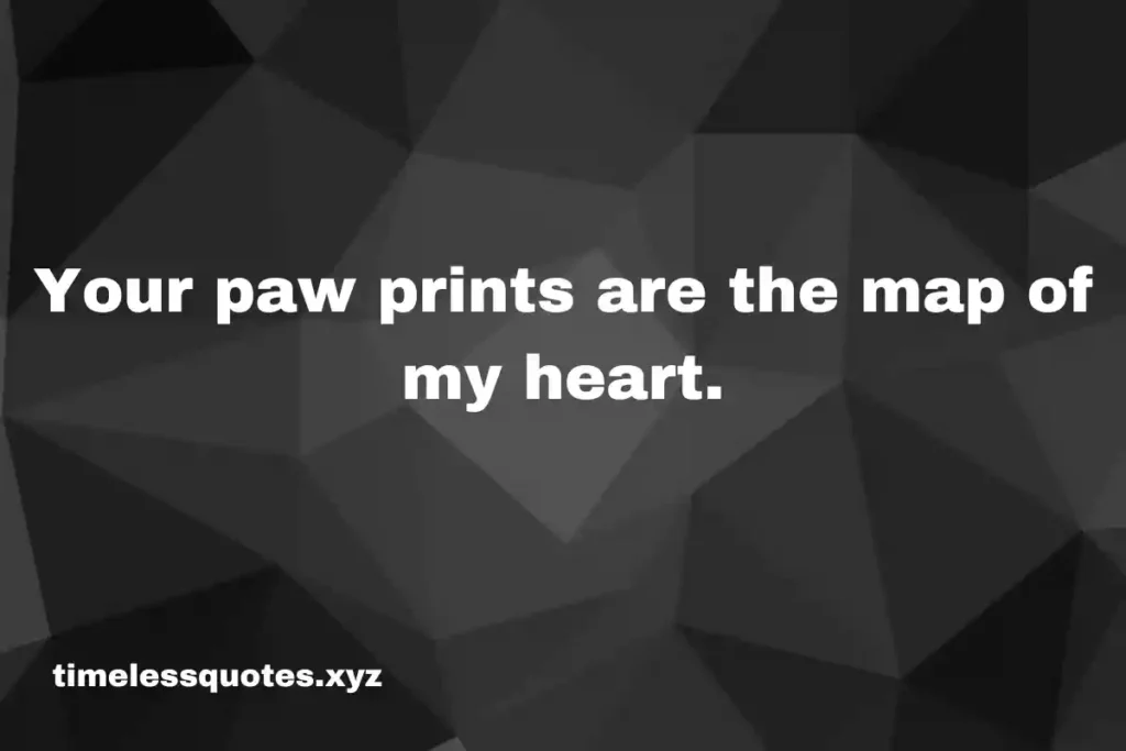 pet loss quotes