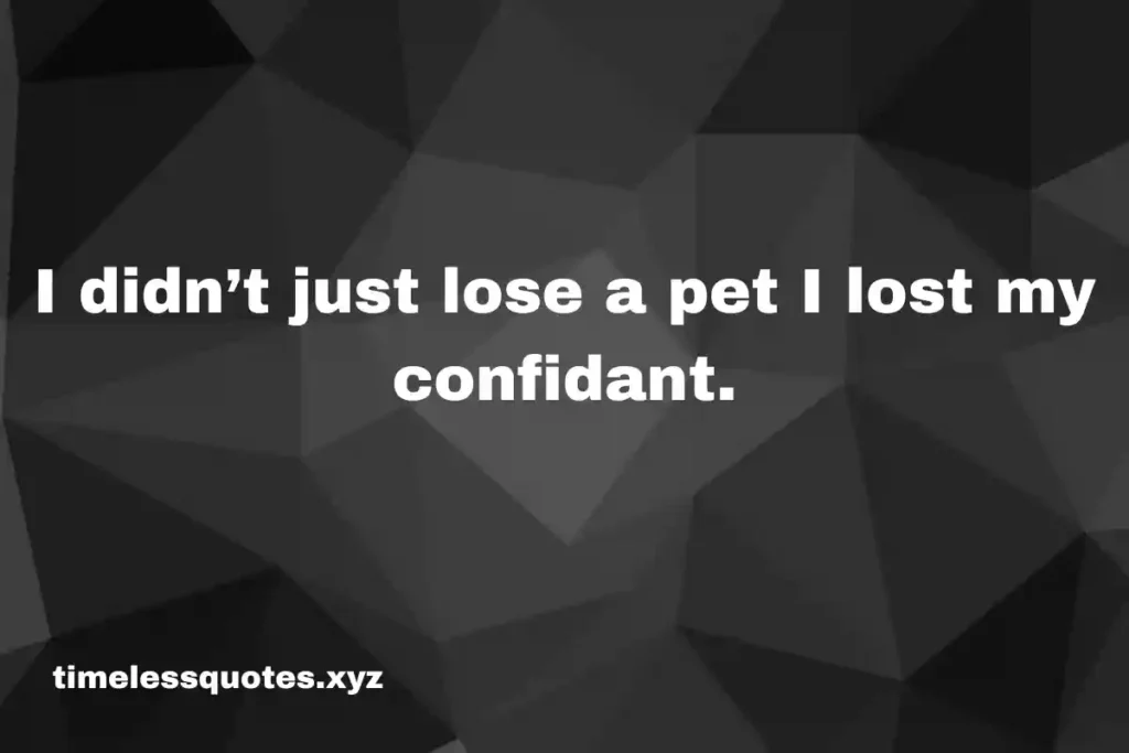 pet loss quotes