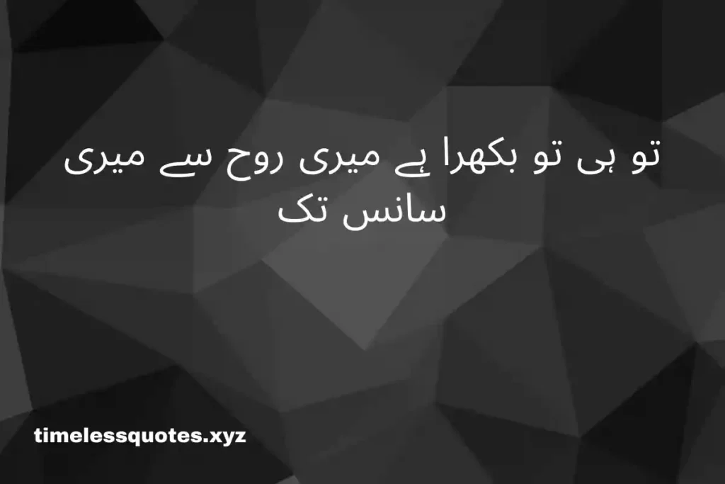 quotes in urdu