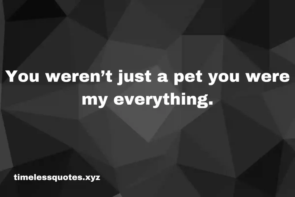 pet quotes