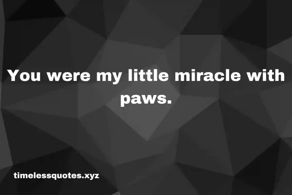 pet loss quotes