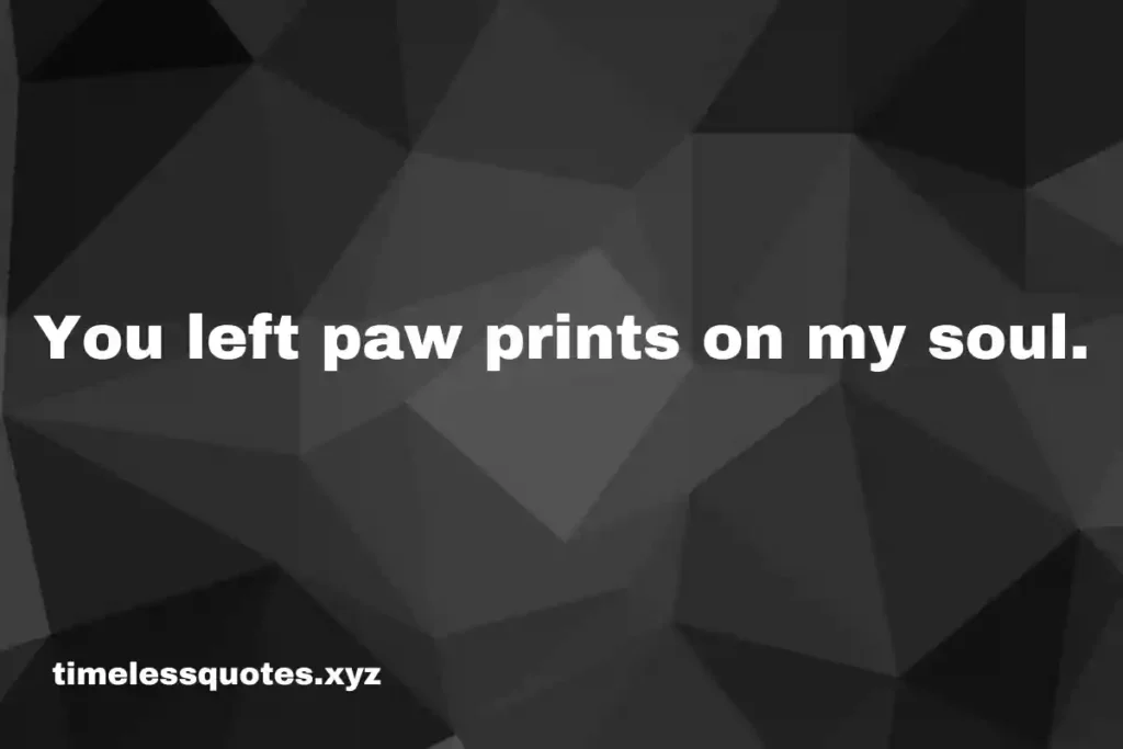 pet loss quotes