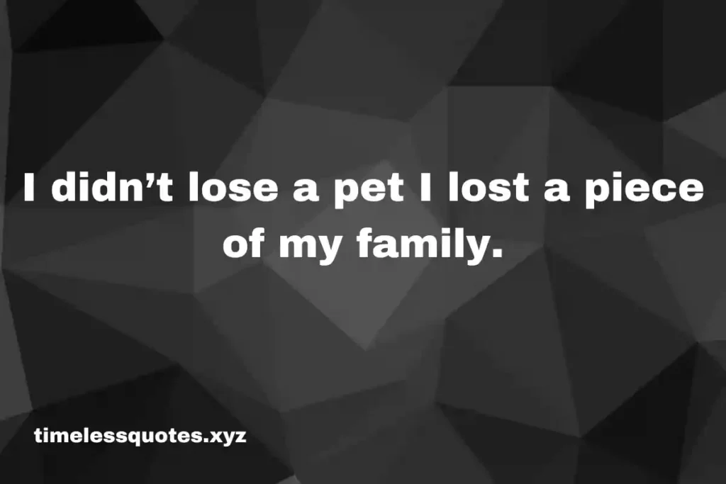 pet loss quotes