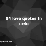 54 Love quotes in urdu urdu love shayari