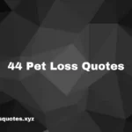 44 pet loss quotes 44 pet loss quotes