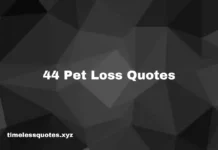 44 pet loss quotes 44 pet loss quotes