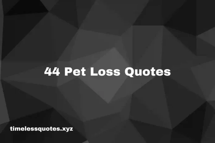 44 pet loss quotes